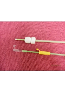 Foma Catheter With  In-Depth  Normal